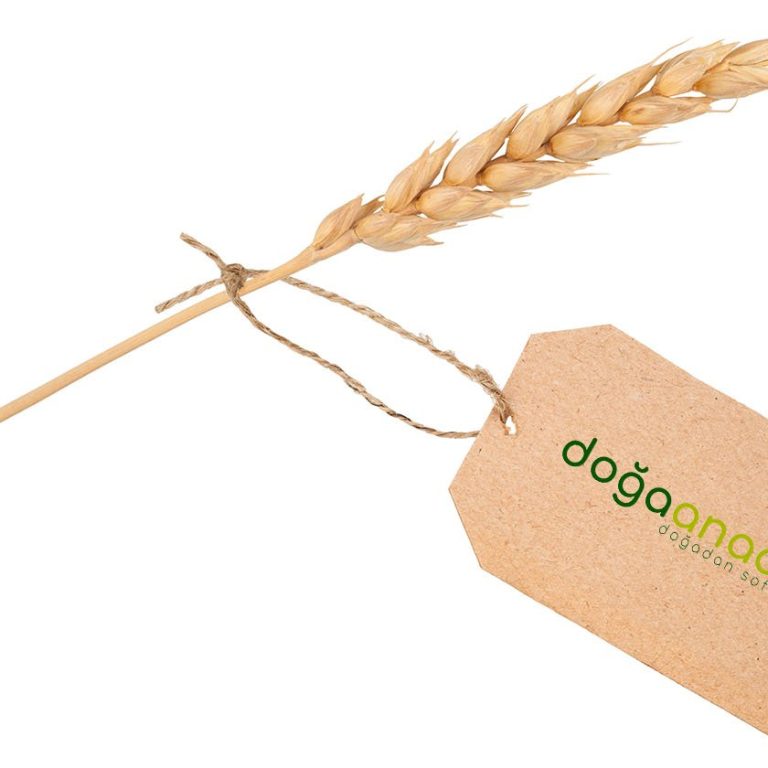 Glutensiz Ürünlerde Etiket Okuma Rehberi ve İpuçları